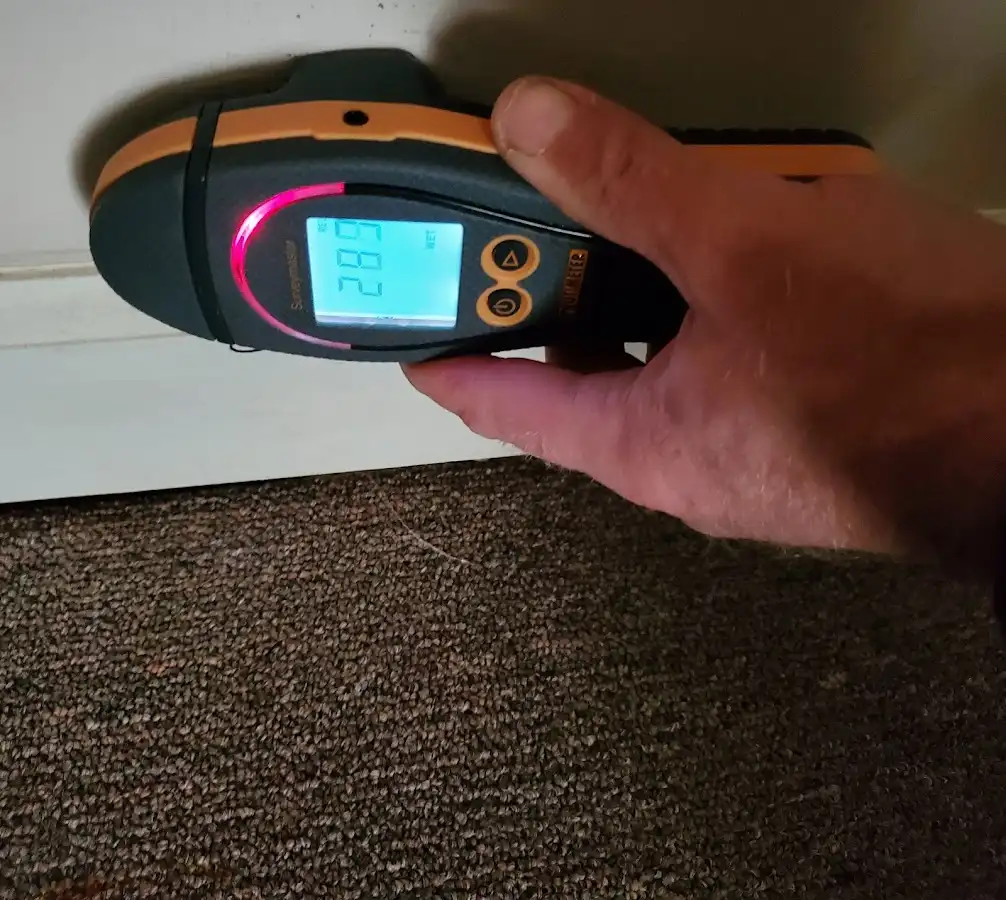 Moisture detection at baseboard during Mold Inspection & Testing in York